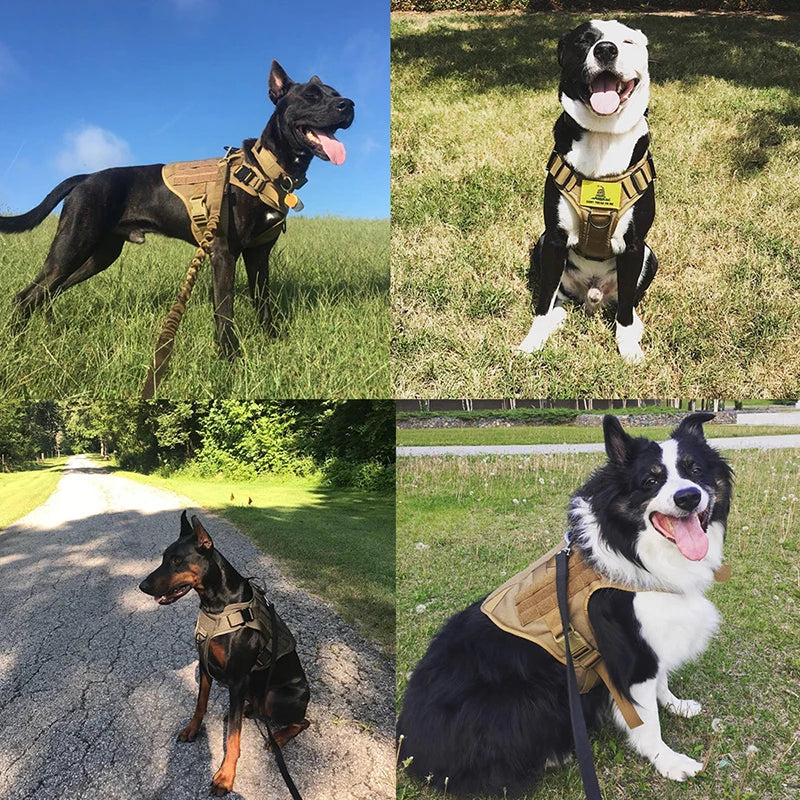 Tactical Quick-Release Training Dog Harness