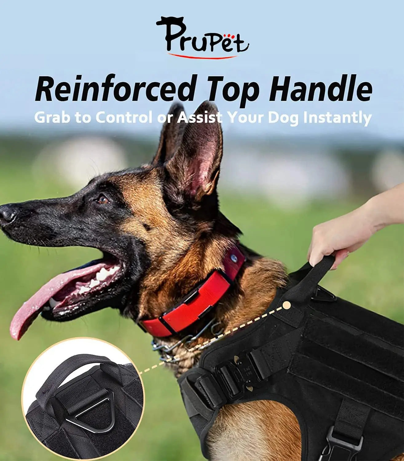 Tactical Quick-Release Training Dog Harness