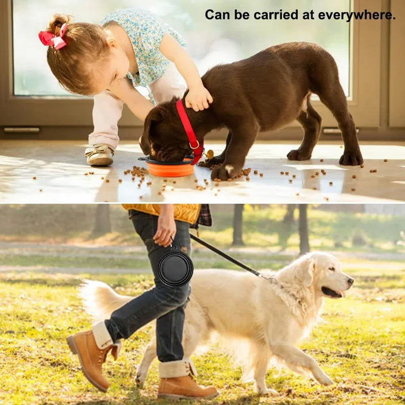 Portable Dog Bowl